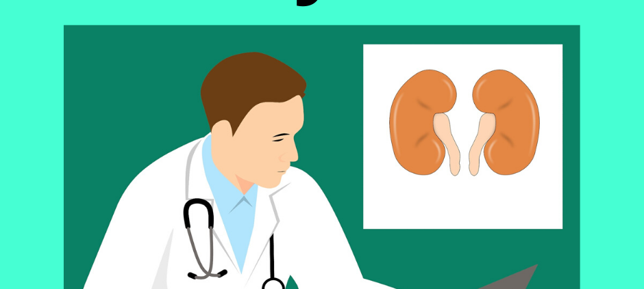 kidney stone treatment in homeoapthy