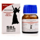 sbl-phytolacca-berry-tablets